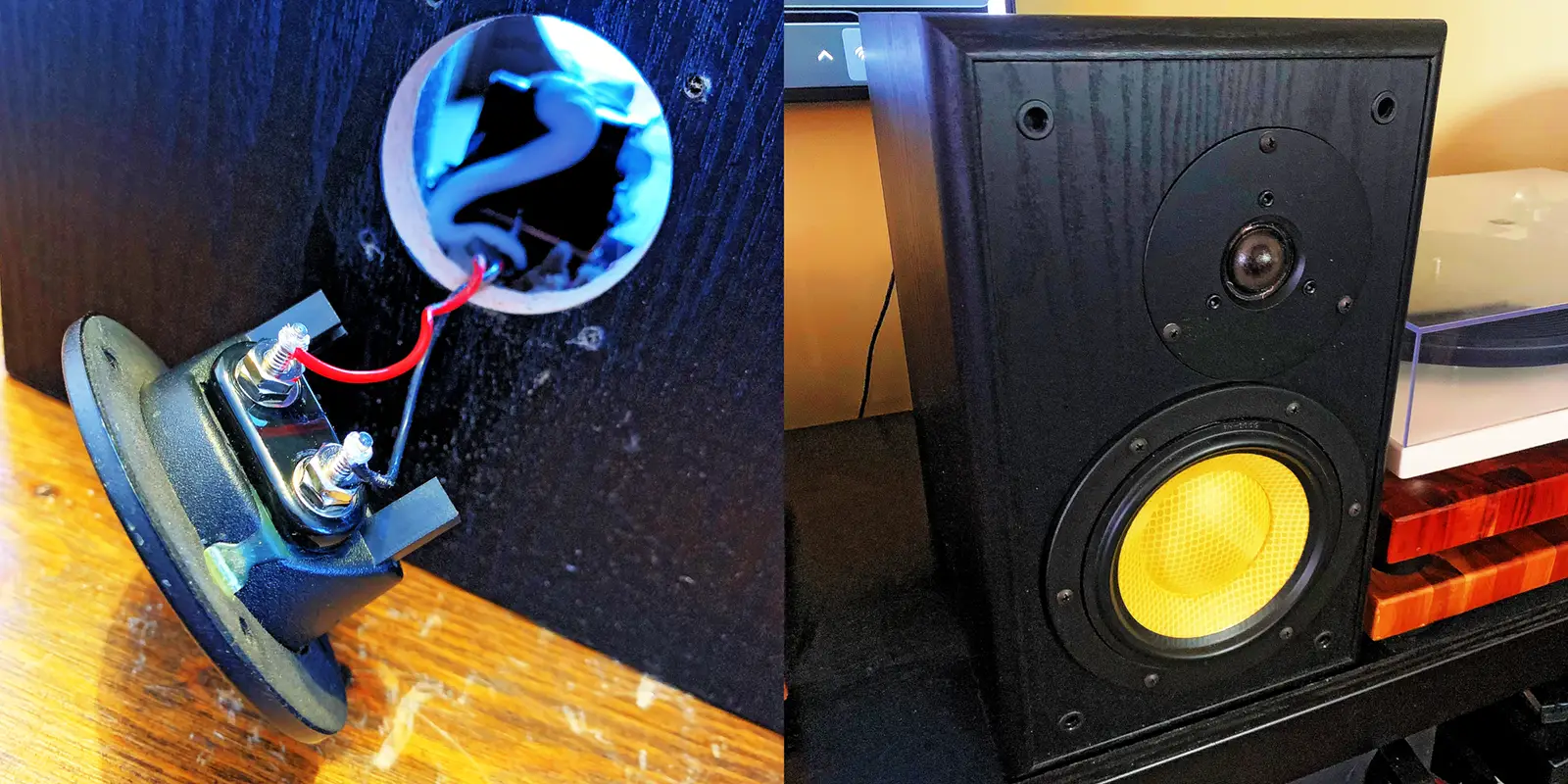 Building Dynavox DIY Speakers | SeanRose.com