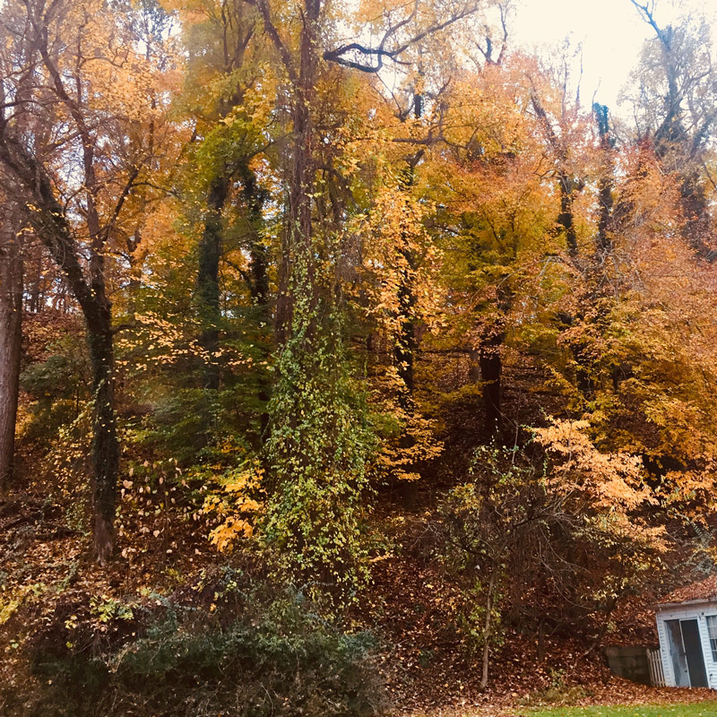 Charleston - Blogs, Life, Work and Home With Sean Rose