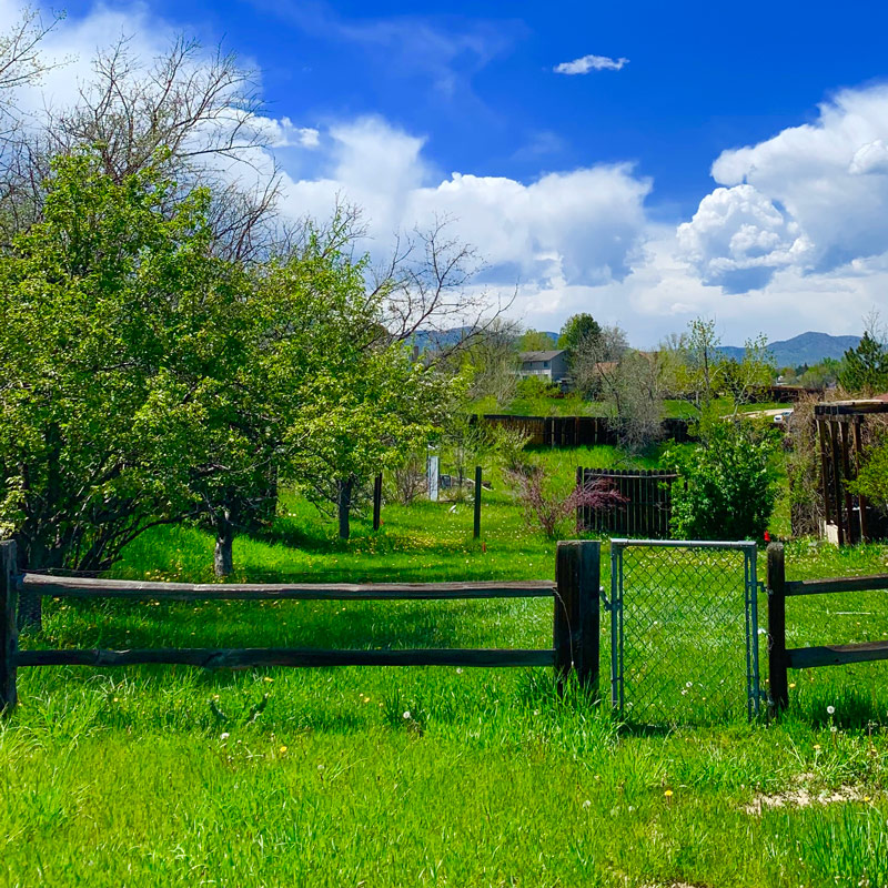 Denver - Blogs, Life, Work and Home With Sean Rose