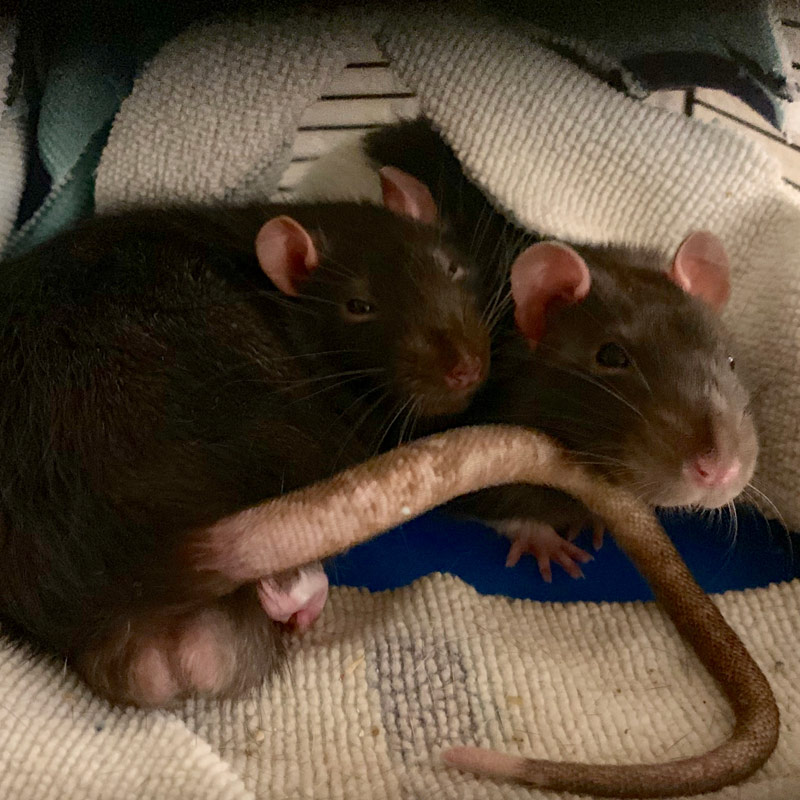 Denver - Blogs, Life, Work and Home With Sean Rose