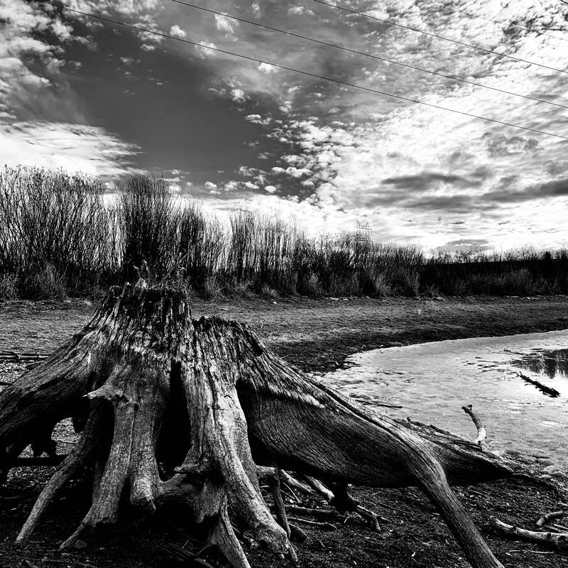 Denver - Blogs, Life, Work and Home With Sean Rose