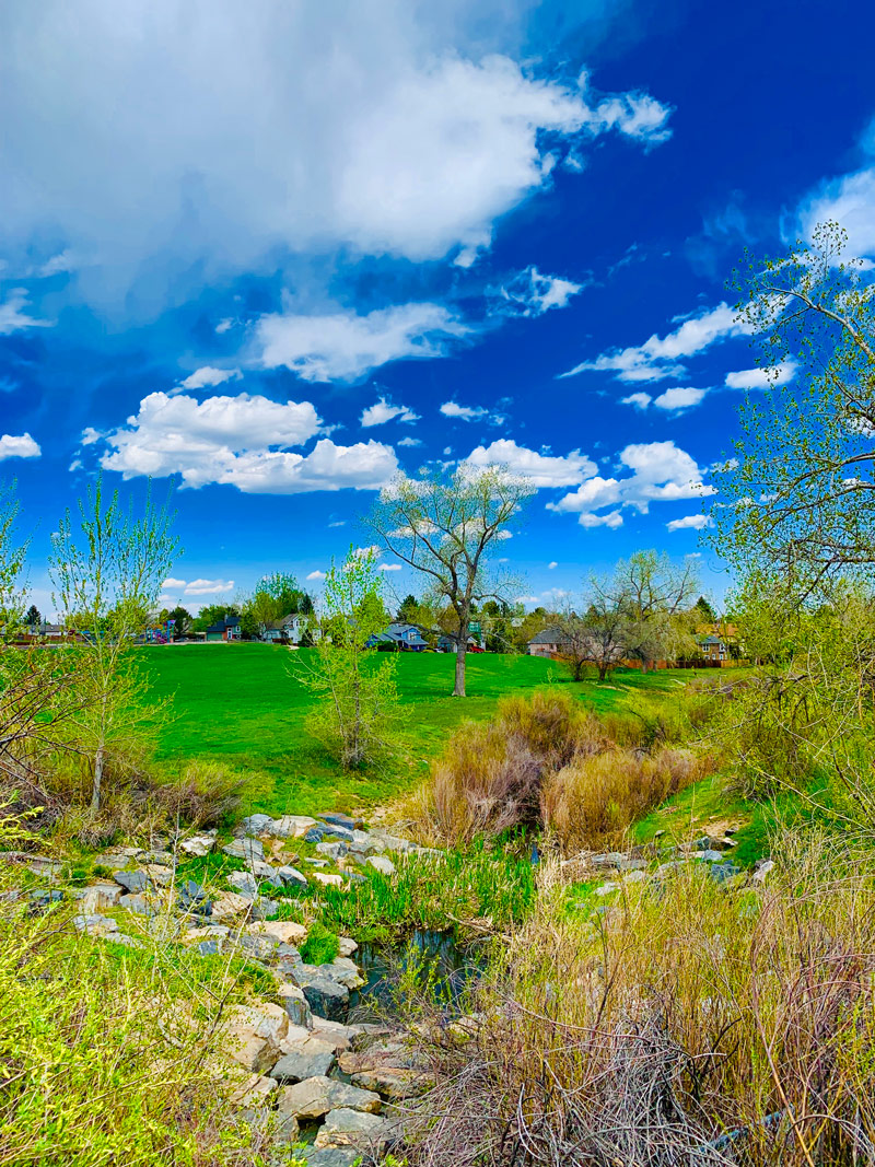 Denver - Blogs, Life, Work and Home With Sean Rose