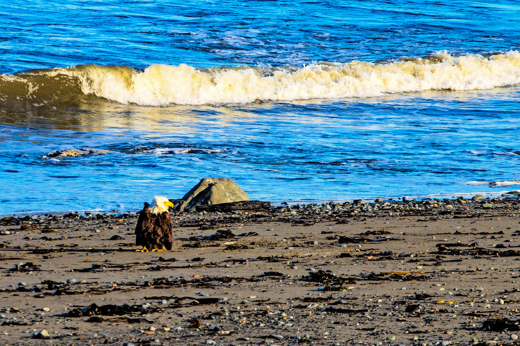The Final Frontier: Alaska