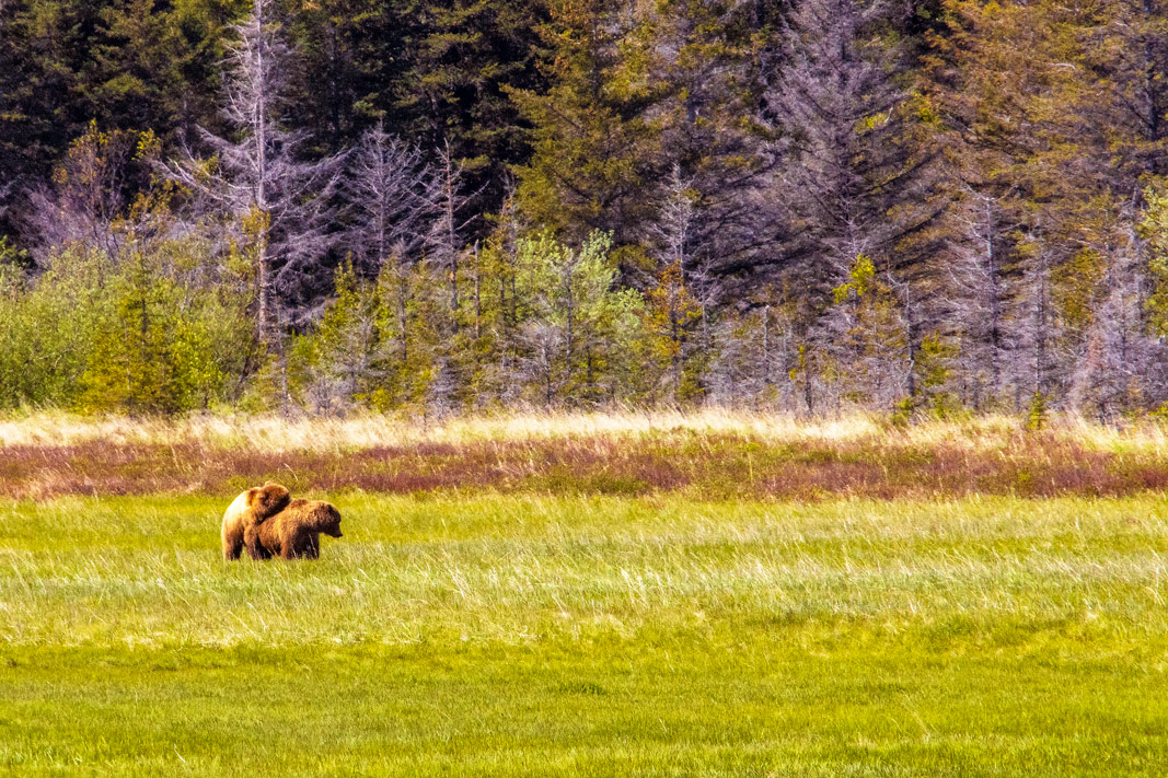 The Final Frontier: Alaska