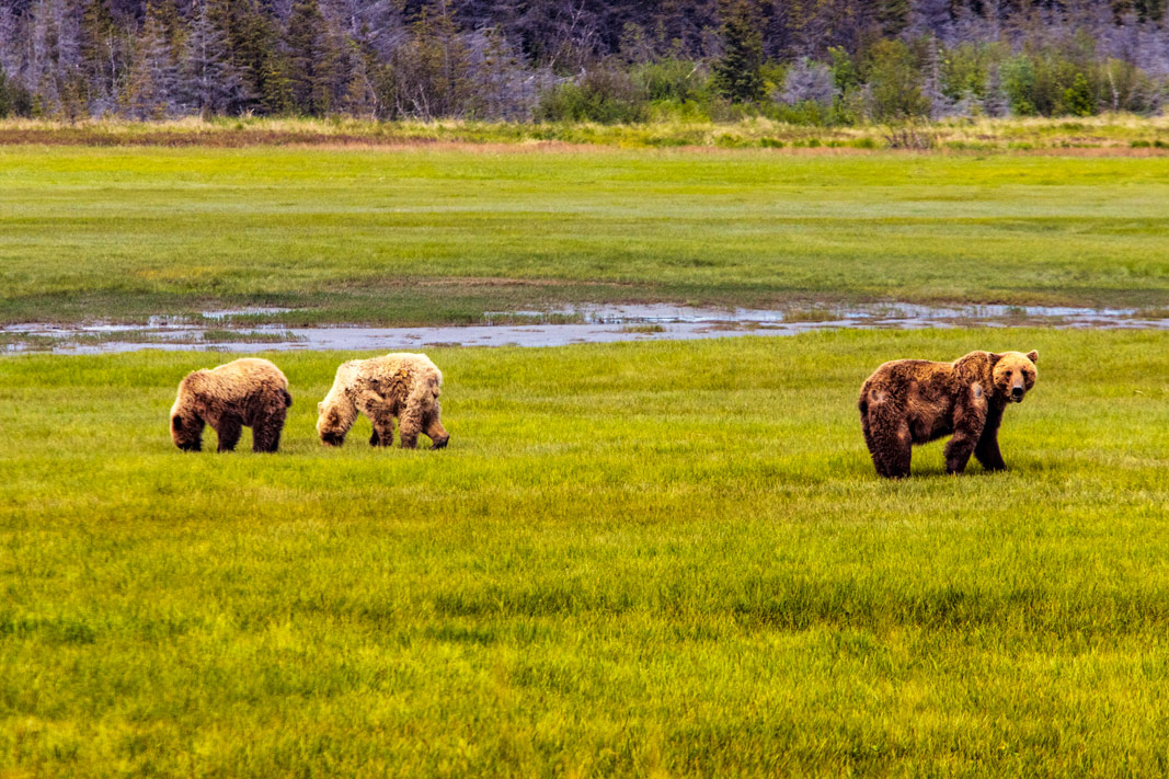 The Final Frontier: Alaska