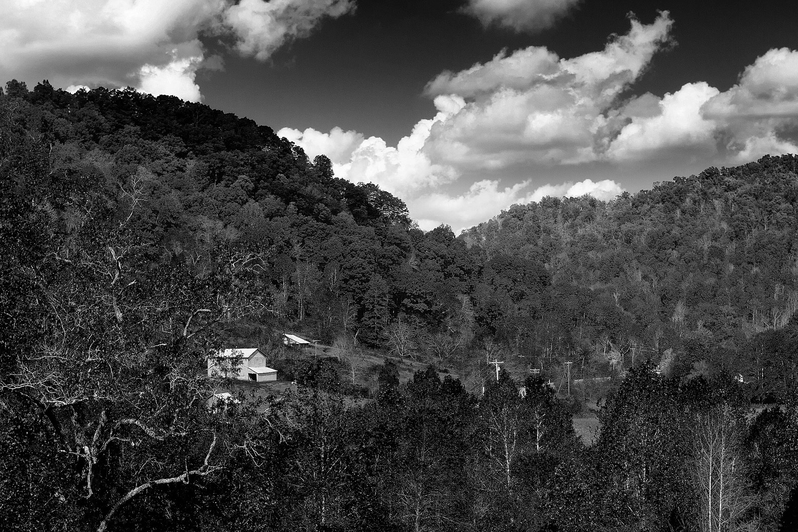 Black and White Photography | SeanRose.com