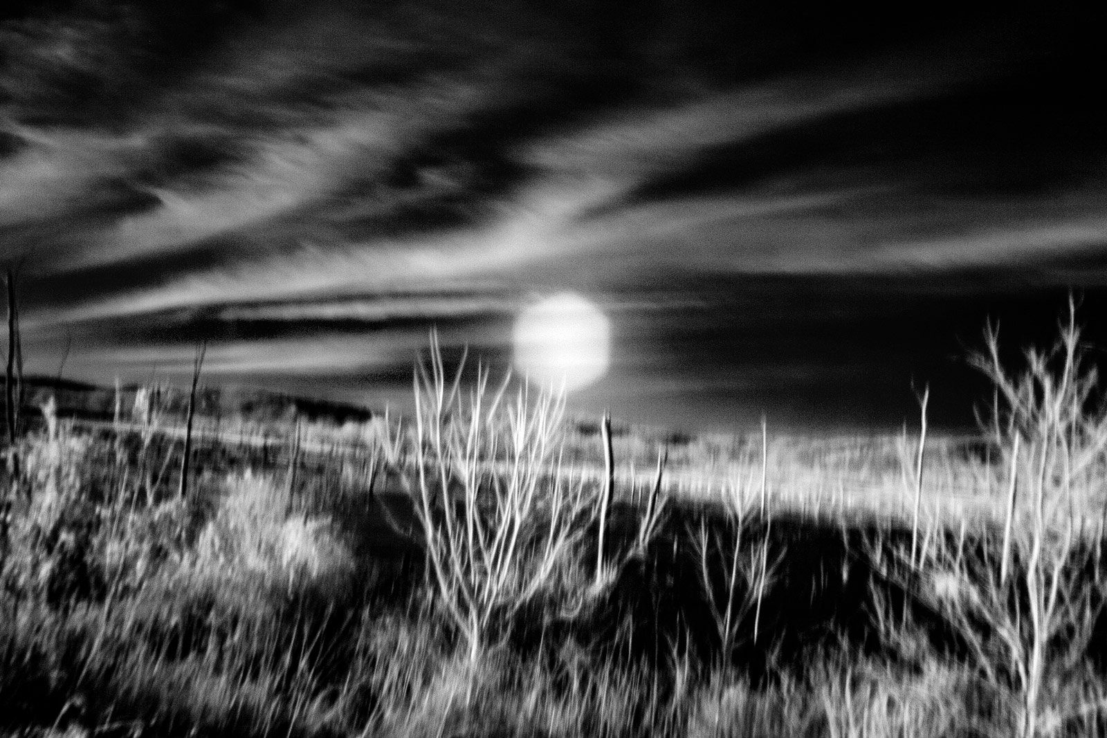 Black and White Photography | SeanRose.com