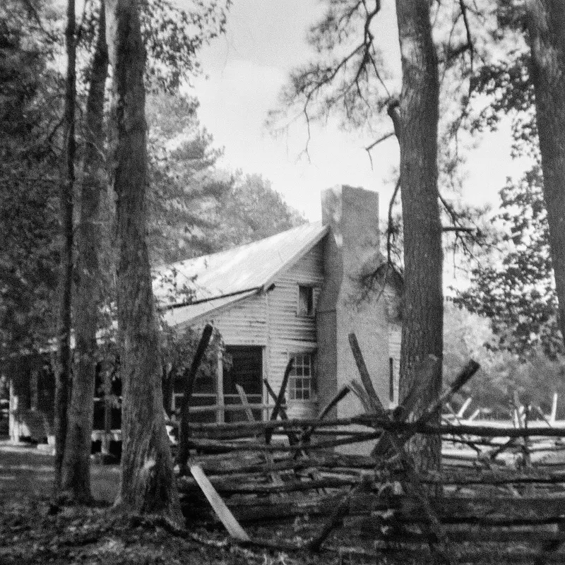 Rural South Carolina. 21st Century Film Photography | SeanRose.com