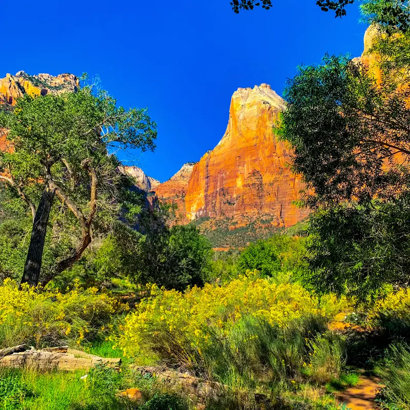 Rural & Zion National Park UT