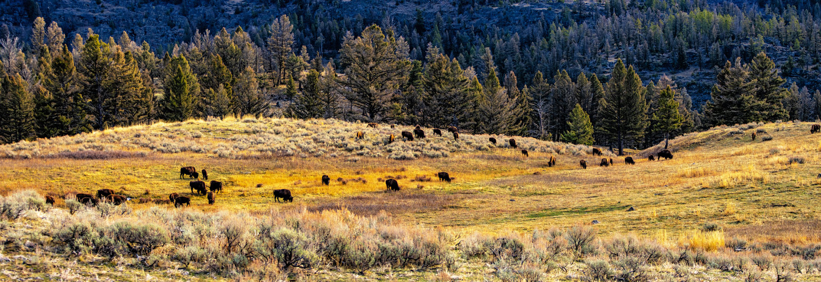 The Grand Tour: Idaho, Montana and Wyoming