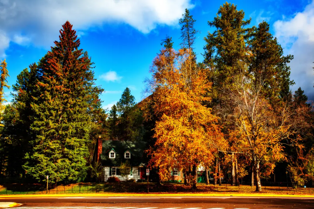 The Grand Tour: Idaho, Montana and Wyoming