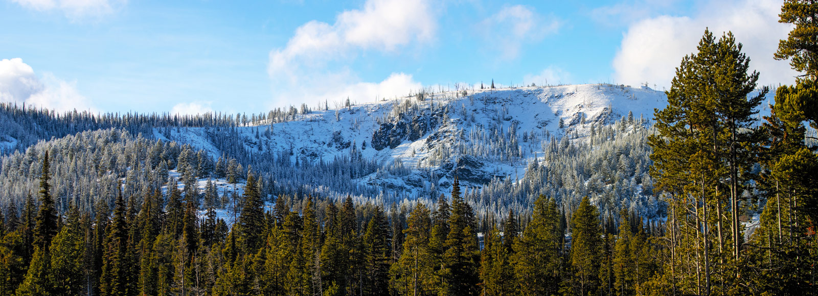 The Grand Tour: Idaho, Montana and Wyoming