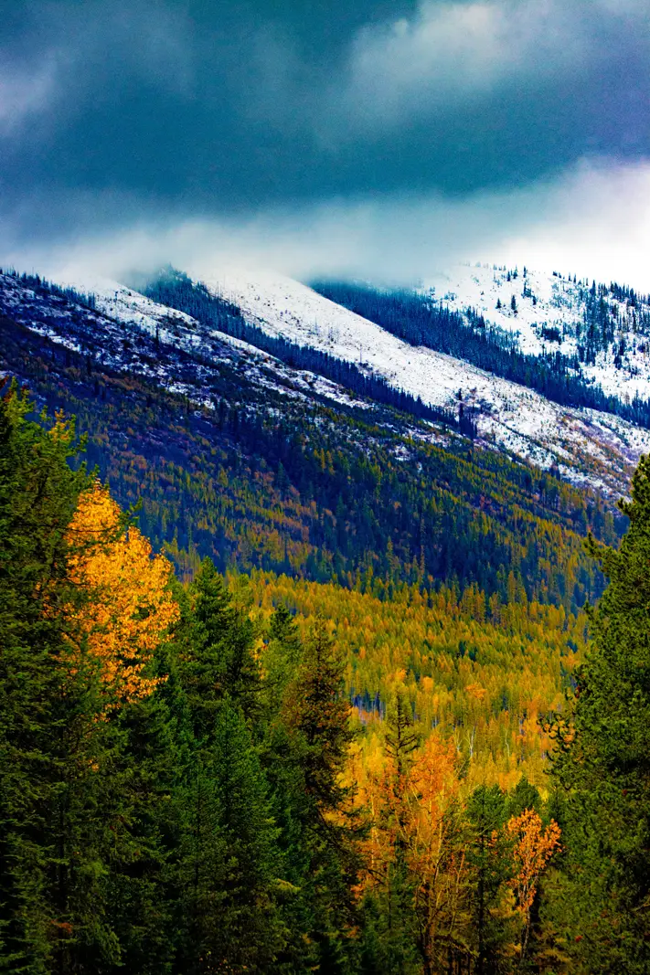 The Grand Tour: Idaho, Montana and Wyoming