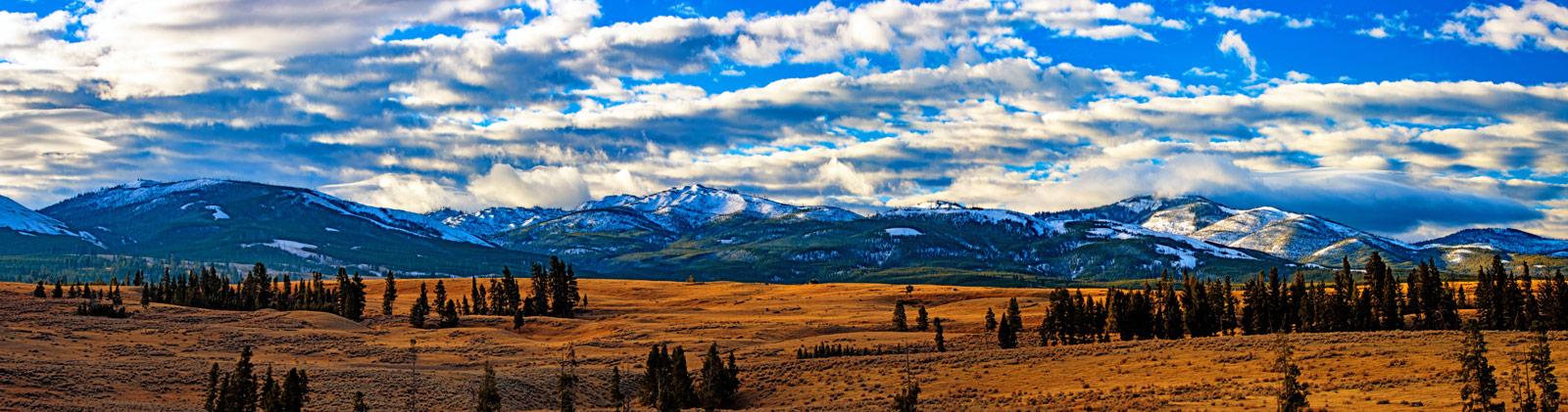 The Grand Tour: Idaho, Montana and Wyoming