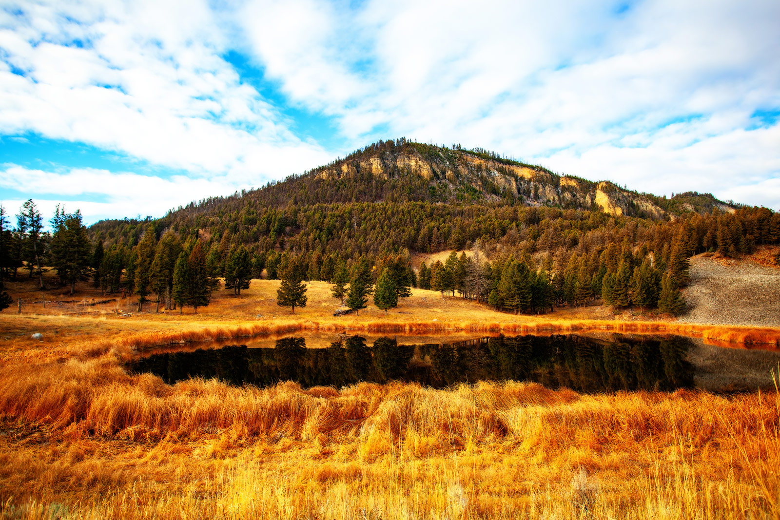 The Grand Tour: Idaho, Montana and Wyoming