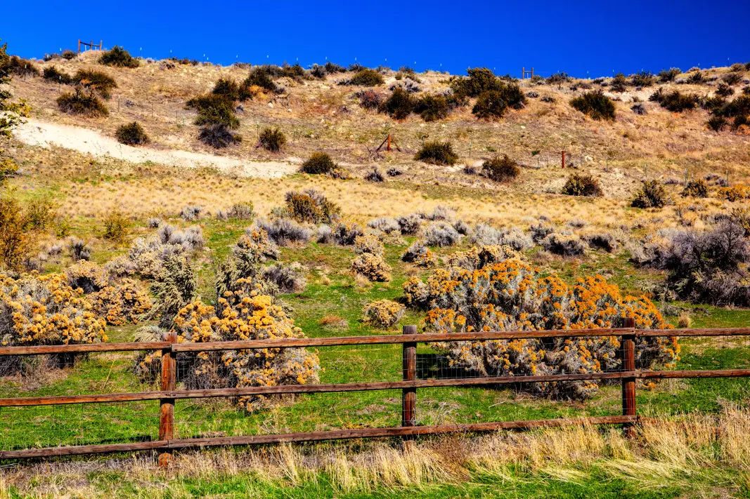 The Grand Tour: Idaho, Montana and Wyoming