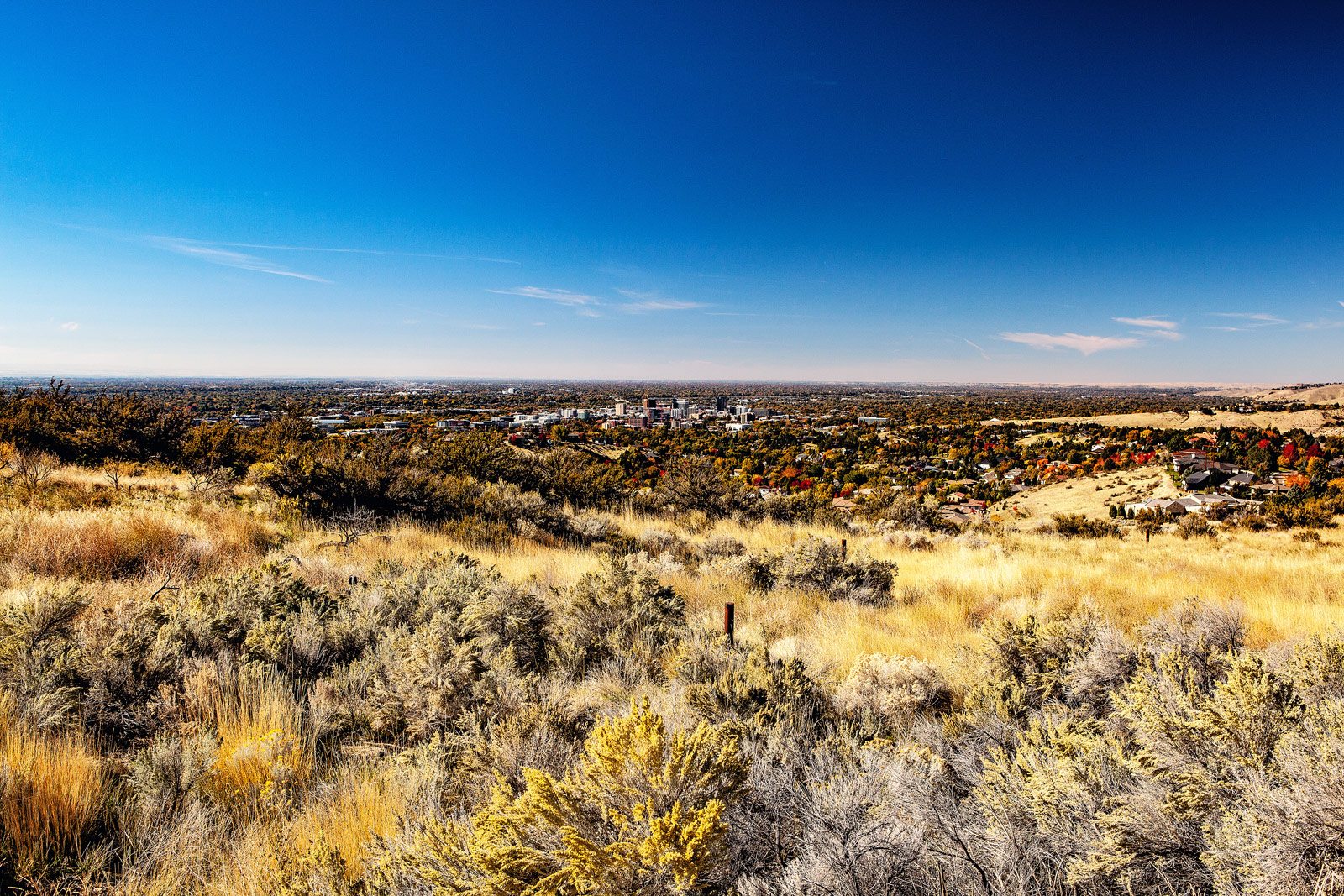 The Grand Tour: Idaho, Montana and Wyoming