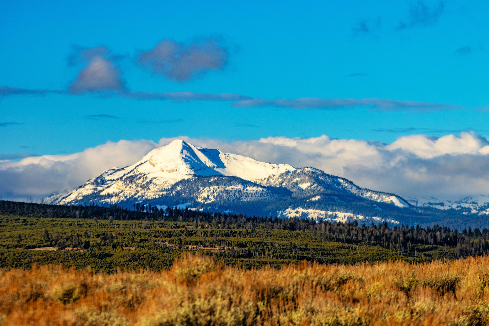 The Grand Tour: Idaho, Montana and Wyoming