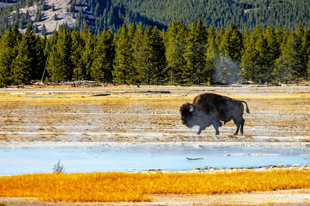 The Grand Tour: Idaho, Montana and Wyoming