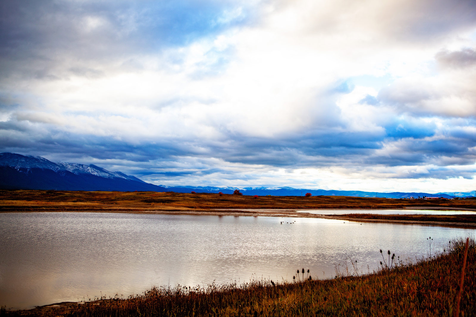 The Grand Tour: Idaho, Montana and Wyoming