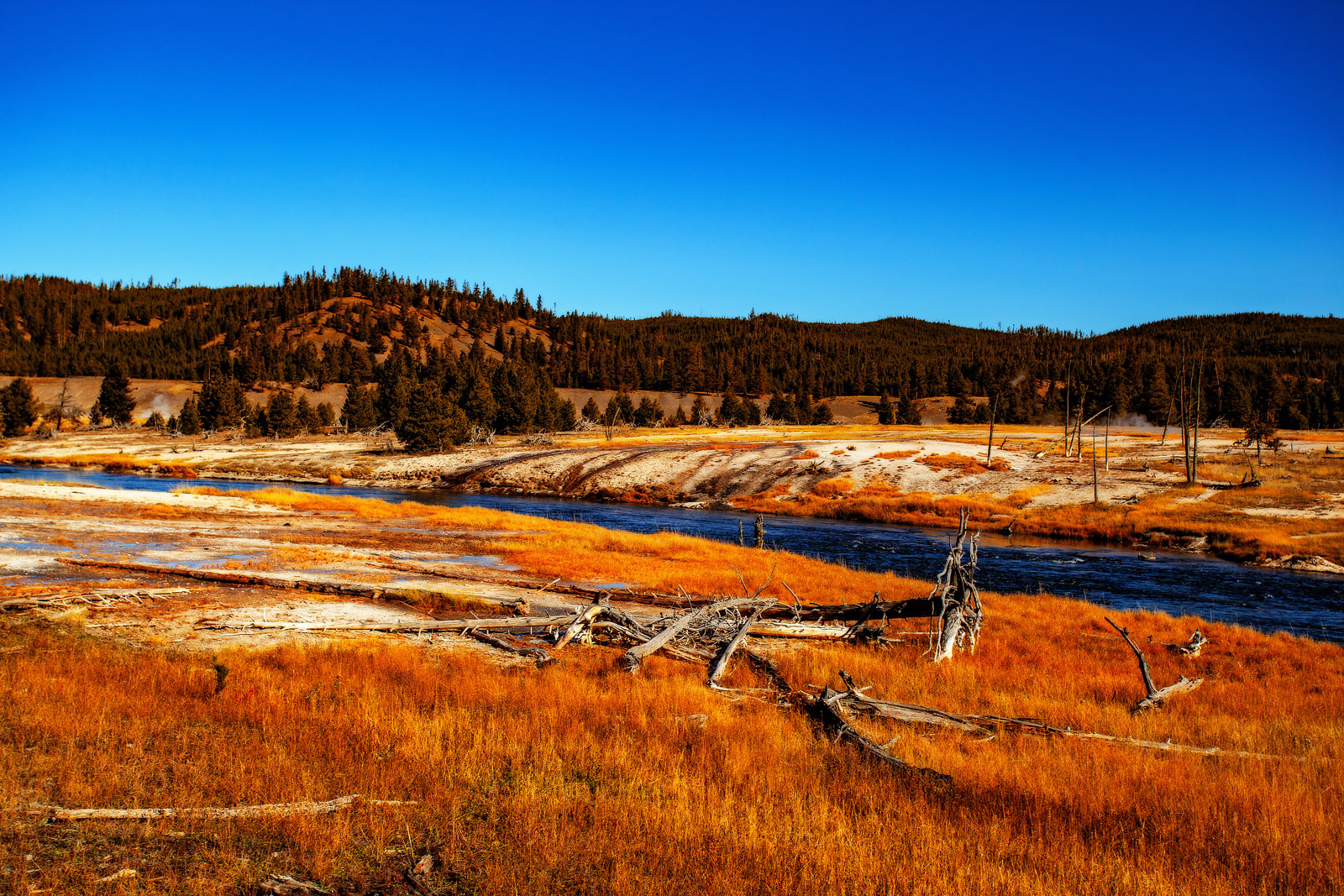 The Grand Tour: Idaho, Montana and Wyoming