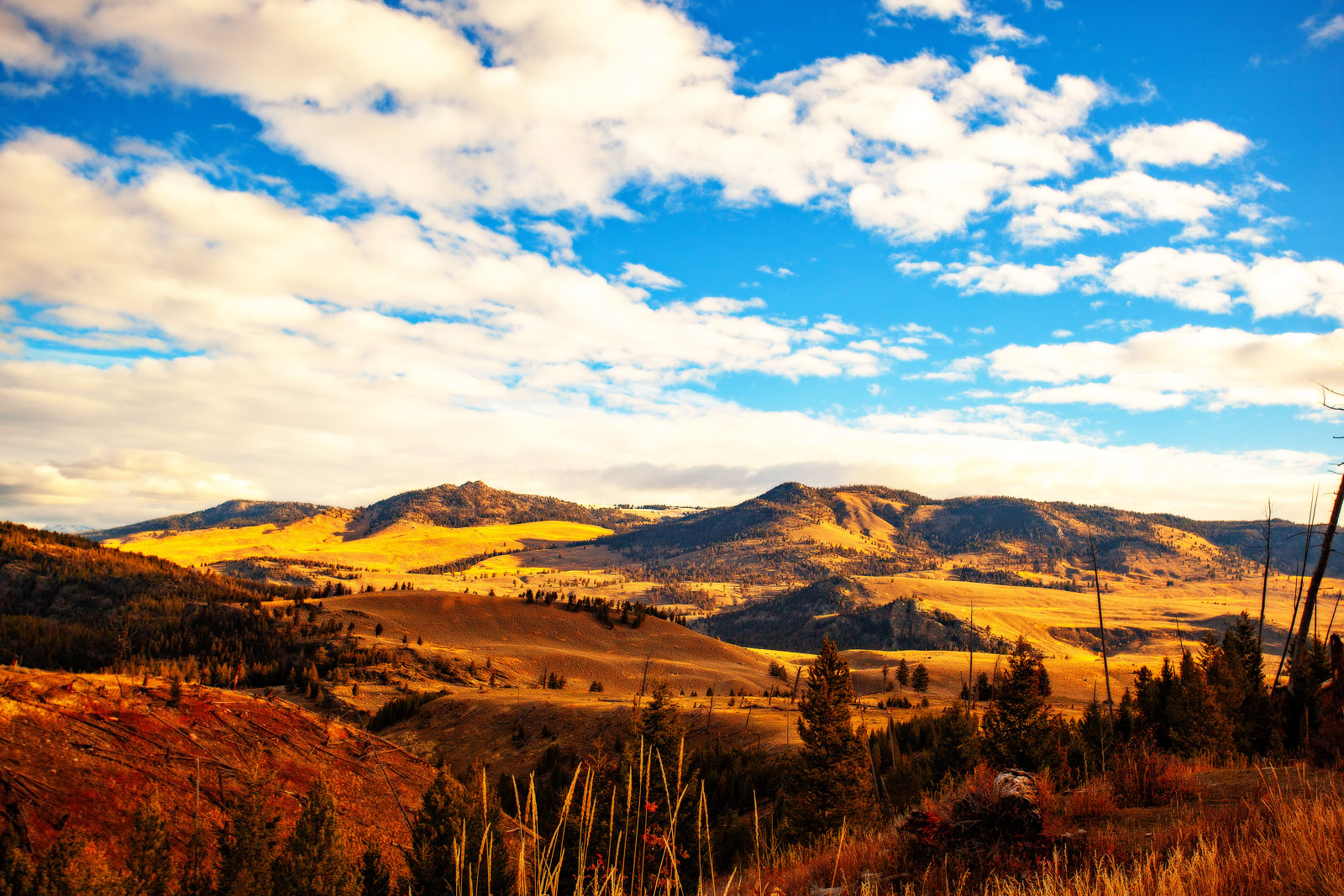 The Grand Tour: Idaho, Montana and Wyoming