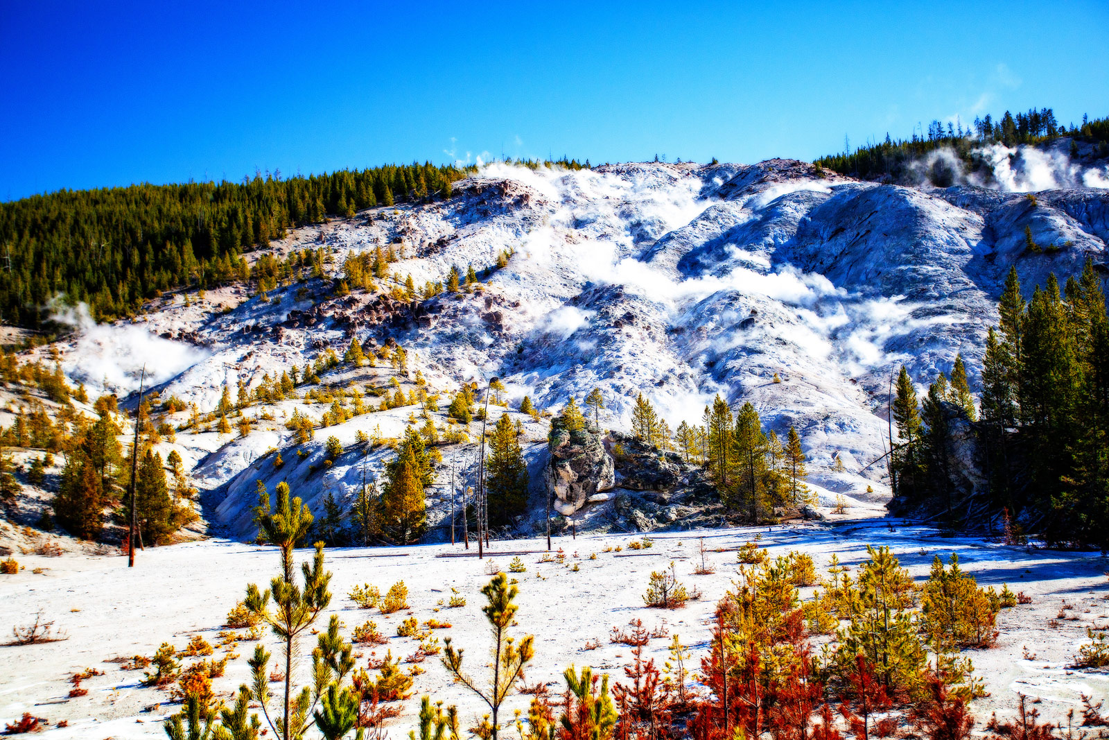 The Grand Tour: Idaho, Montana and Wyoming