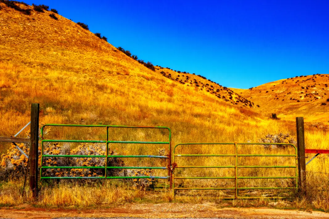 The Grand Tour: Idaho, Montana and Wyoming