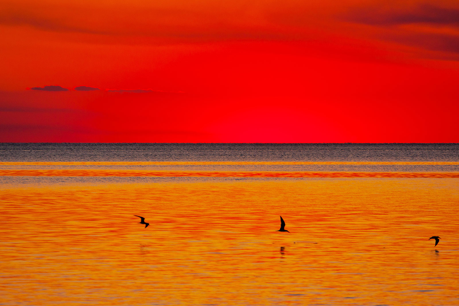 The end of the Earth on the Atlantic Ocean - Landscape Photography | SeanRose.com