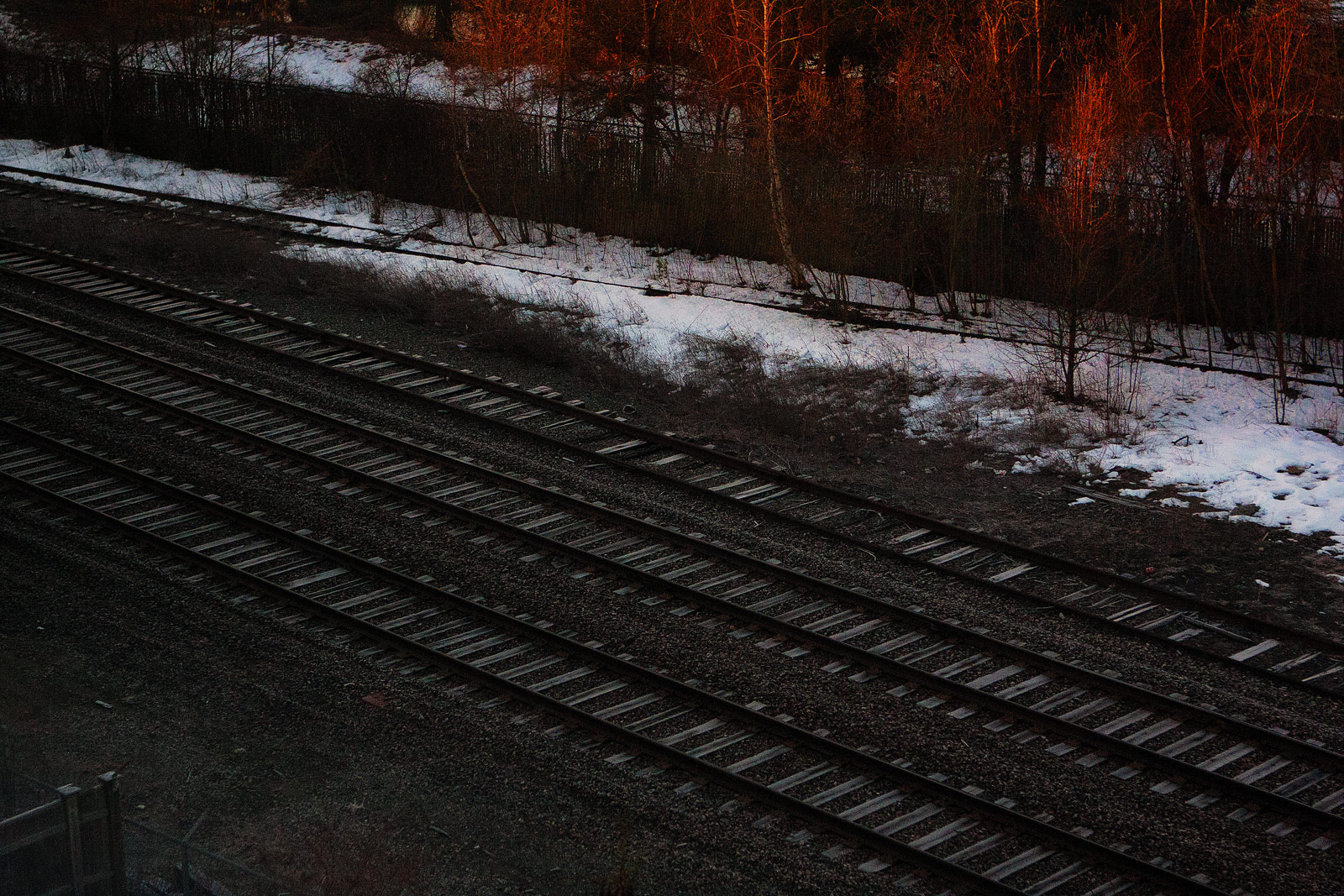 Early Morning Cambridge MA - Landscape Photography | SeanRose.com