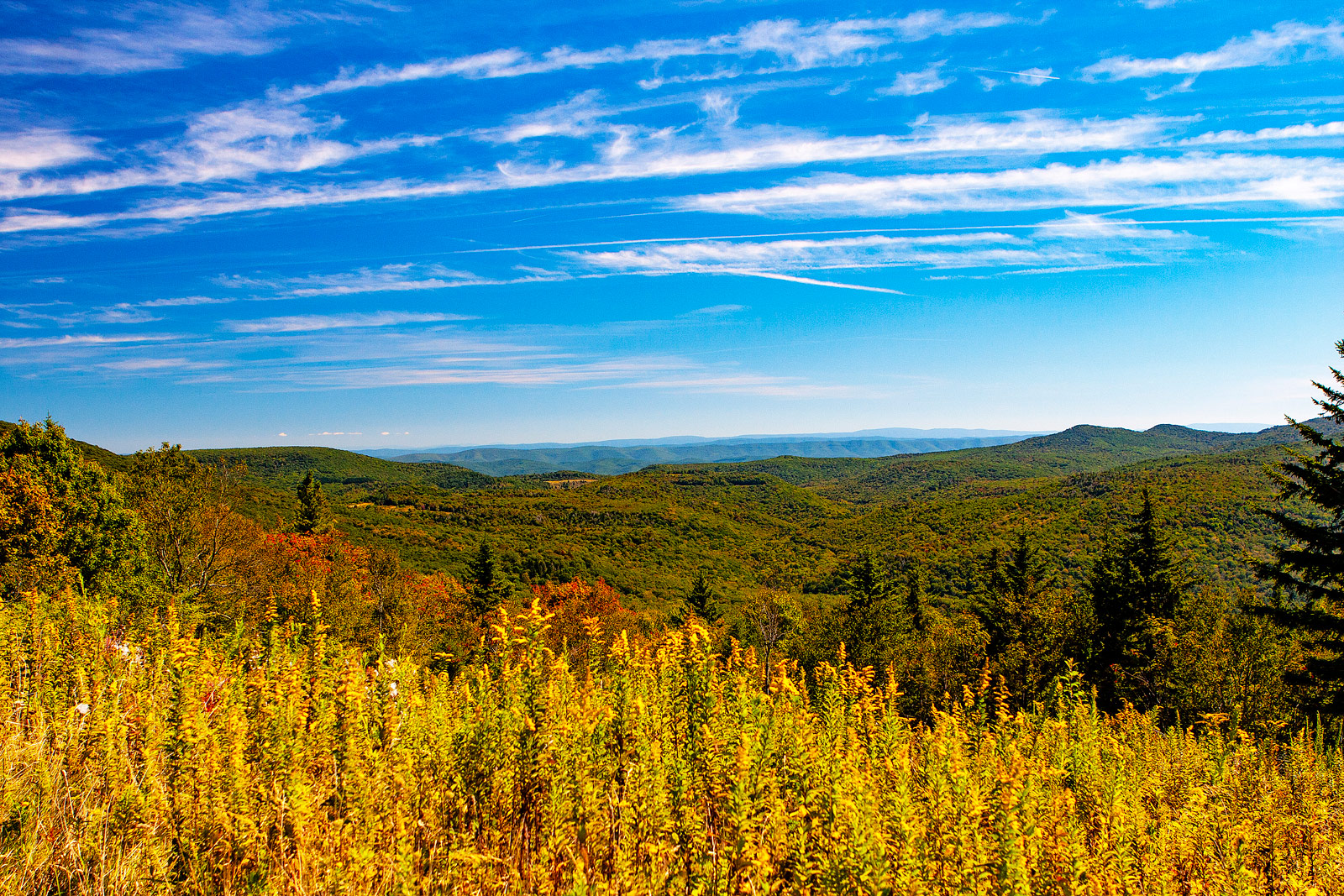 Autumn on Black Mountain Rural WV - Landscape Photography | SeanRose.com
