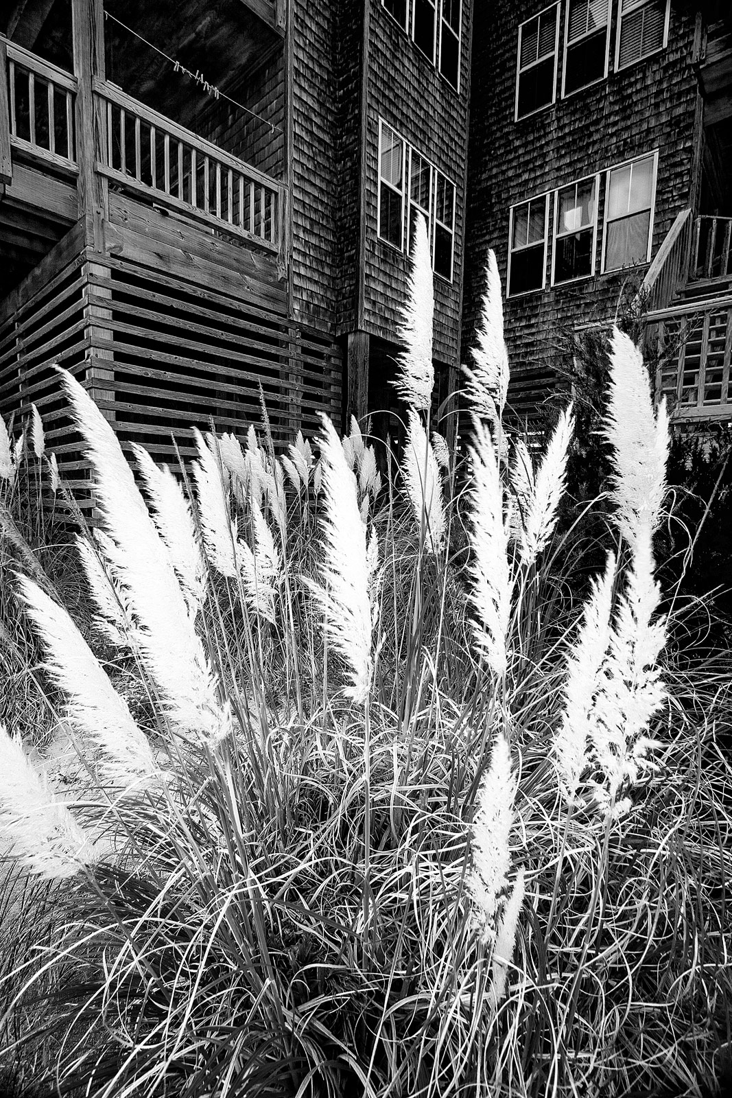 The Outer Banks OBX Photography | SeanRose.com
