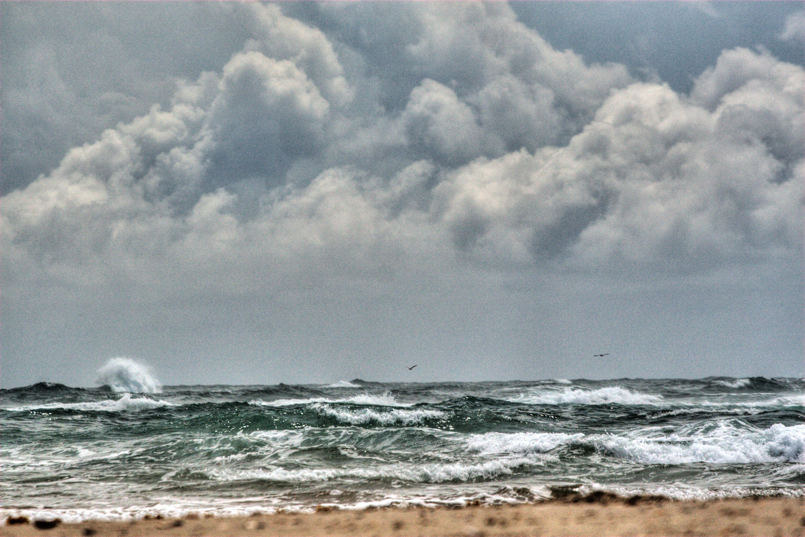 The Outer Banks OBX Photography | SeanRose.com