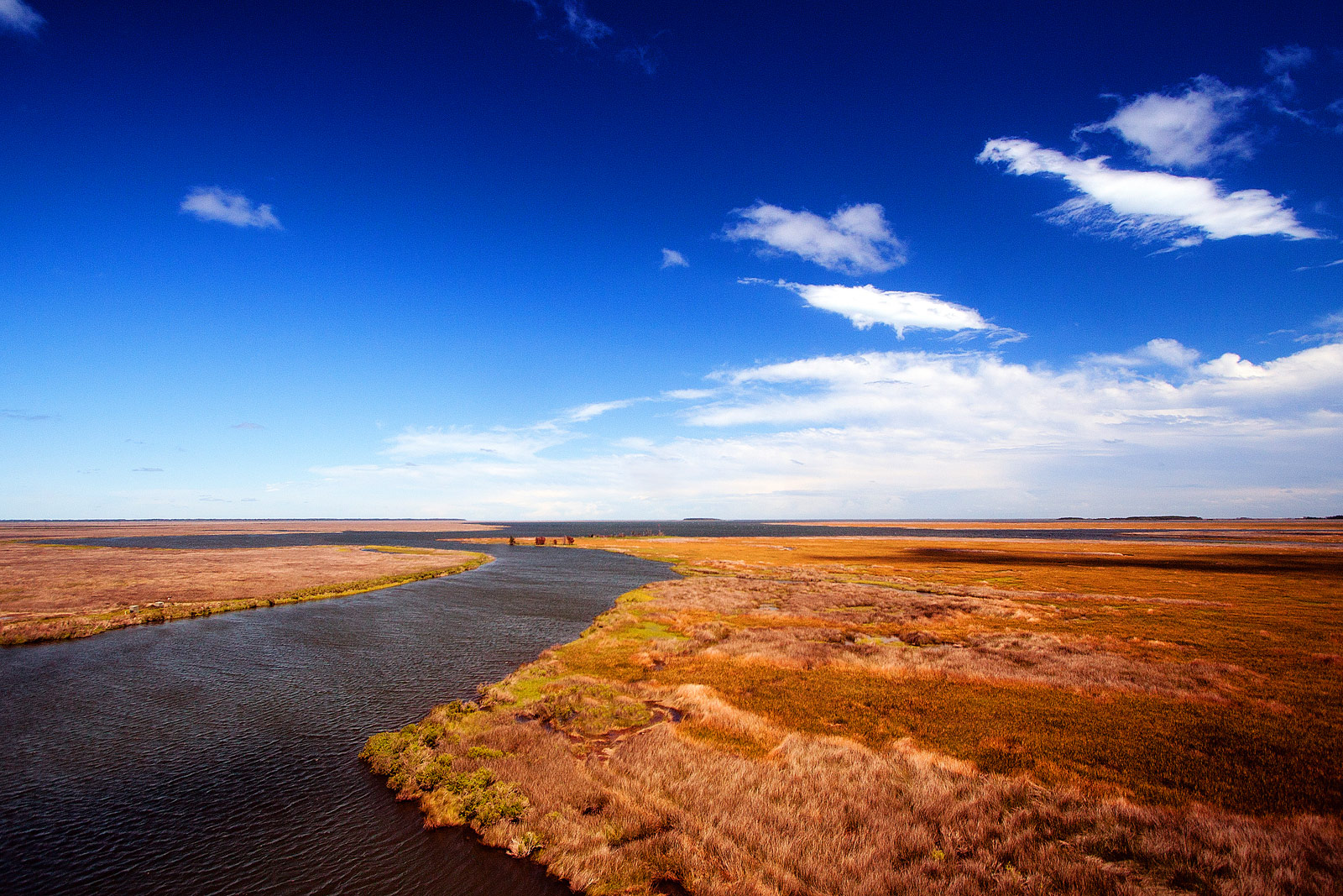 The Outer Banks OBX Photography | SeanRose.com