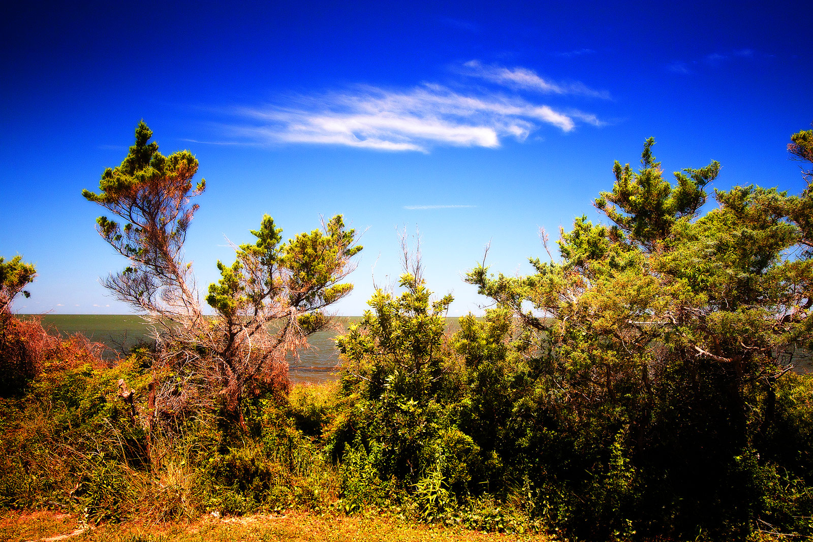 The Outer Banks OBX Photography | SeanRose.com