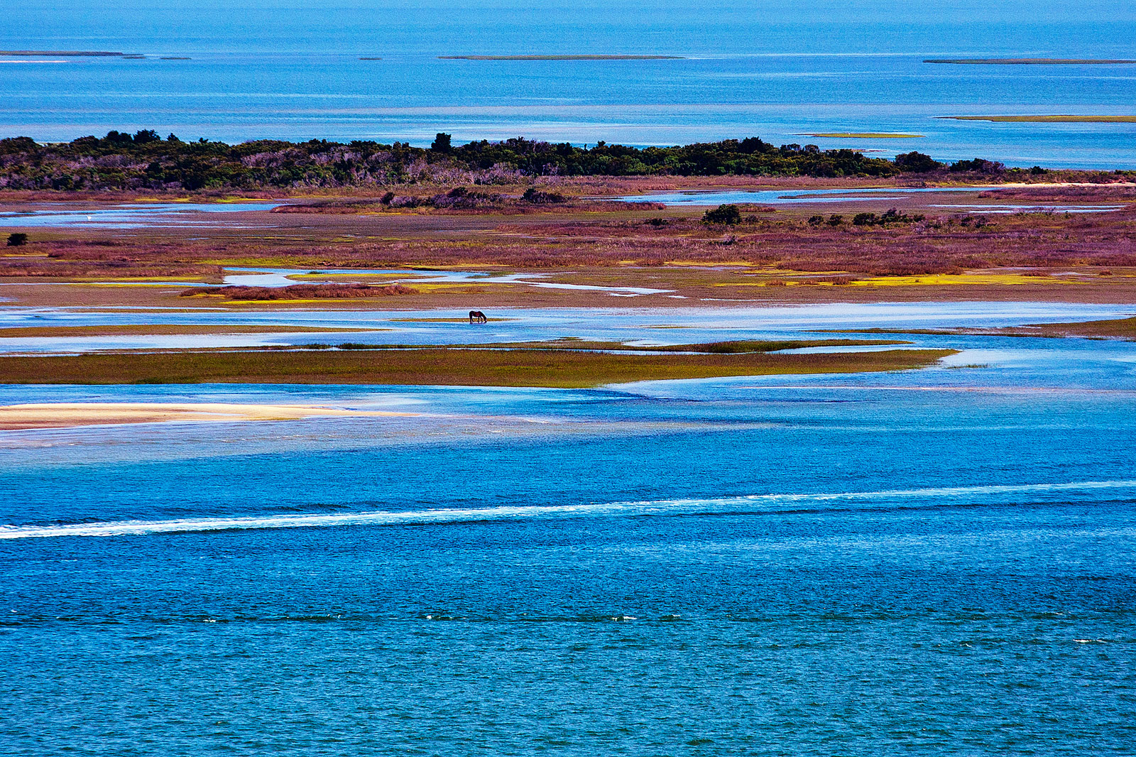 The Outer Banks OBX Photography | SeanRose.com