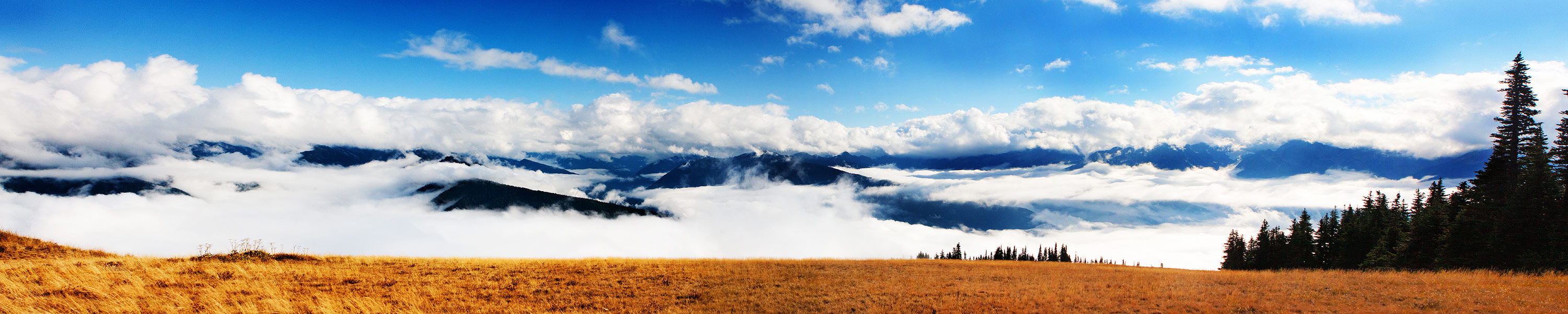 Olympic National Park Outside of Port Angeles WA - Panorama Photography | SeanRose.com