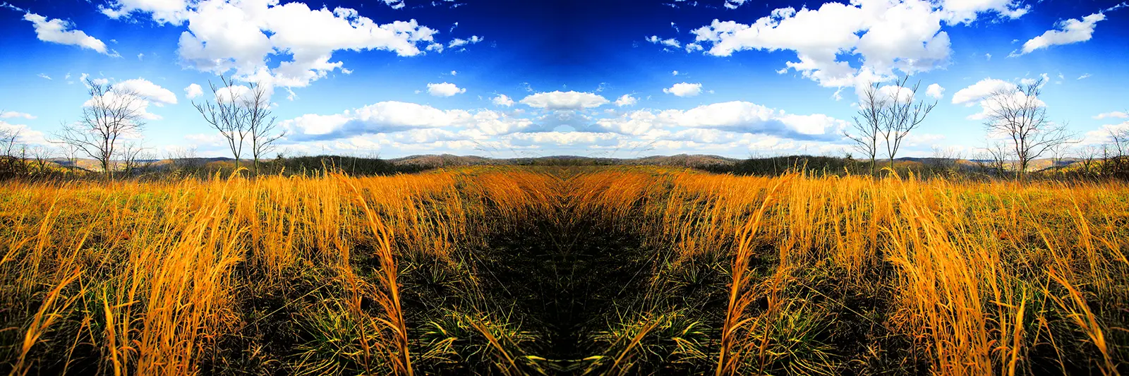 Reflections Photography | SeanRose.com