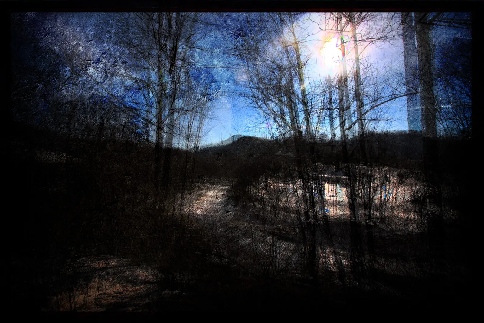 Reimagined Photography | SeanRose.com