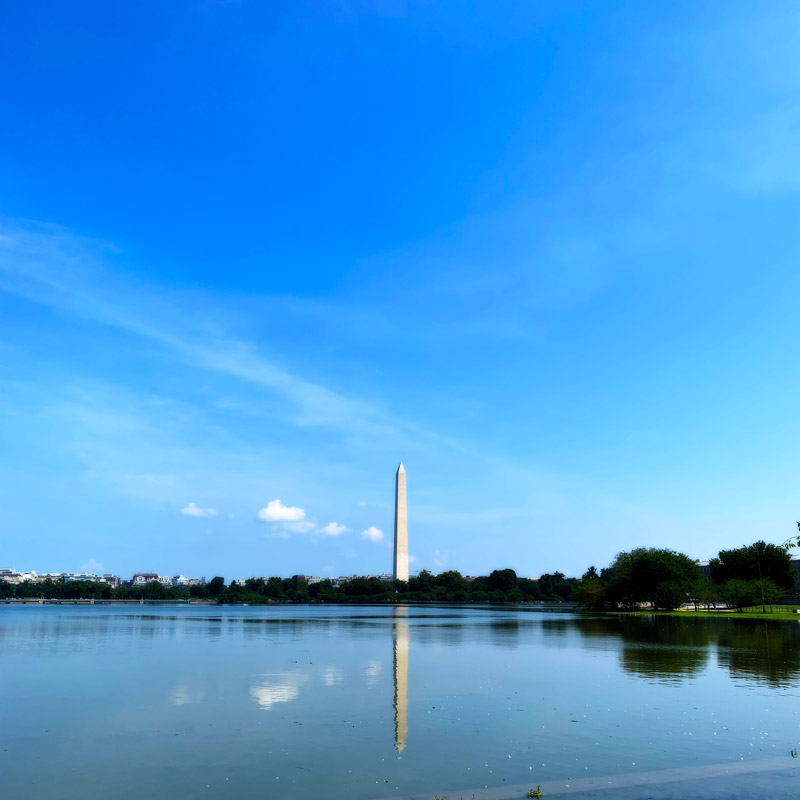 Washington DC. #ShotOniPhone Photography | SeanRose.com